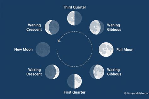 Major And Minor Moon Phases Calendar
